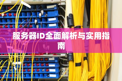 服务器ID全面解析与实用指南