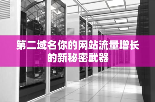 第二域名你的网站流量增长的新秘密武器
