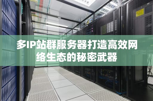 多IP站群服务器打造高效网络生态的秘密武器