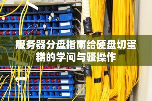服务器分盘指南给硬盘切蛋糕的学问与骚操作