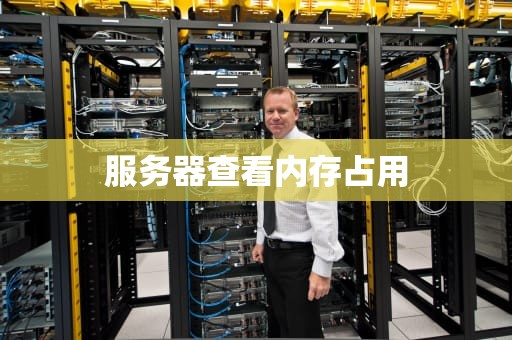 服务器查看内存占用