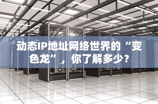 动态IP地址网络世界的“变色龙”，你了解多少？