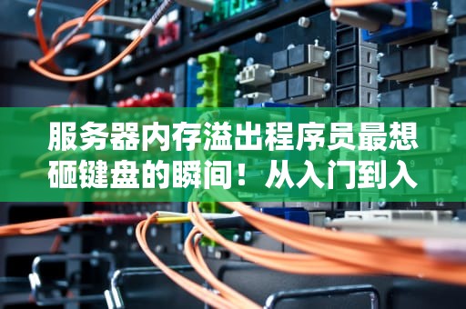服务器内存溢出程序员最想砸键盘的瞬间！从入门到入土全解析