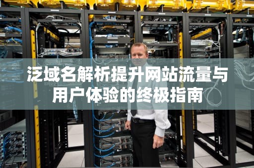 泛域名解析提升网站流量与用户体验的终极指南