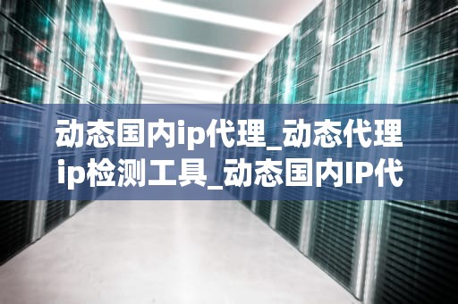 动态国内ip代理_动态代理ip检测工具_动态国内IP代理的深入探讨
