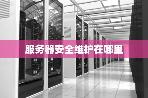 服务器安全维护在哪里