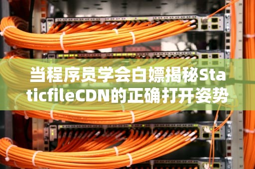 当程序员学会白嫖揭秘StaticfileCDN的正确打开姿势