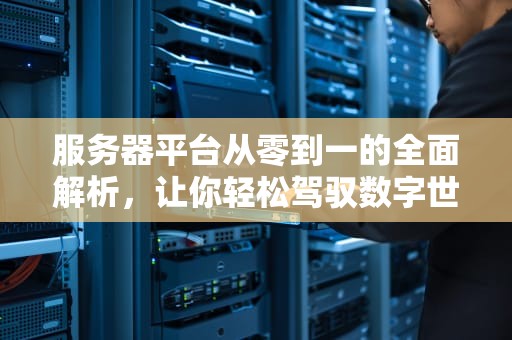 服务器平台从零到一的全面解析，让你轻松驾驭数字世界