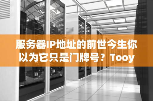 服务器IP地址的前世今生你以为它只是门牌号？Tooyoung！
