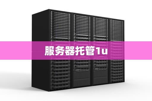 服务器托管1u