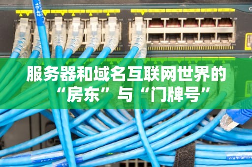 服务器和域名互联网世界的“房东”与“门牌号”