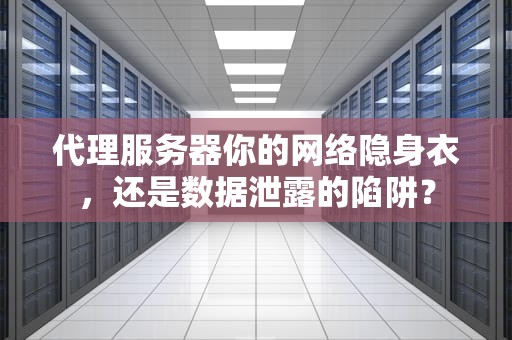 代理服务器你的网络隐身衣，还是数据泄露的陷阱？
