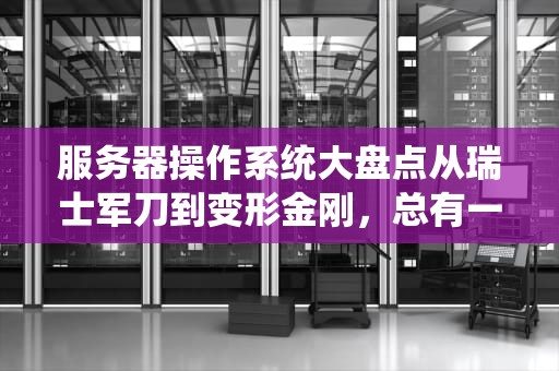 服务器操作系统大盘点从瑞士军刀到变形金刚，总有一款能扛起你的业务！