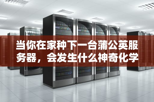 当你在家种下一台蒲公英服务器，会发生什么神奇化学反应？