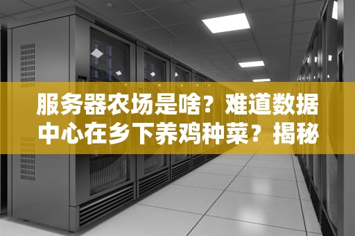 服务器农场是啥？难道数据中心在乡下养鸡种菜？揭秘这个让马云直呼真香的黑科技