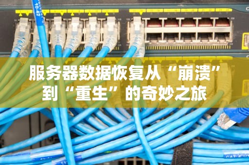 服务器数据恢复从“崩溃”到“重生”的奇妙之旅