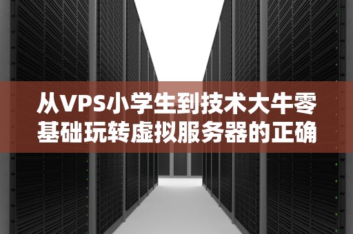 从VPS小学生到技术大牛零基础玩转虚拟服务器的正确打开方式