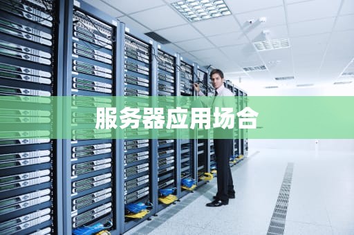 服务器应用场合