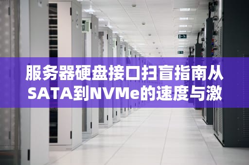 服务器硬盘接口扫盲指南从SATA到NVMe的速度与激情
