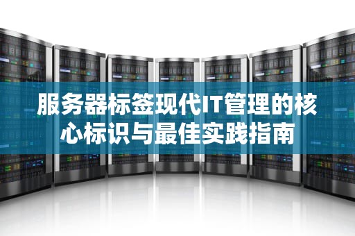 服务器标签现代IT管理的核心标识与最佳实践指南