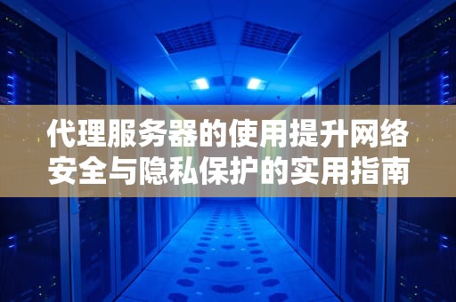 代理服务器的使用提升网络安全与隐私保护的实用指南