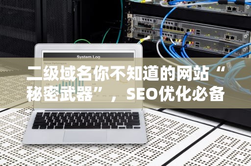 二级域名你不知道的网站“秘密武器”，SEO优化必备！