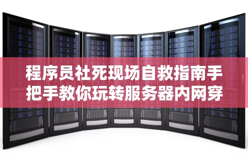 程序员社死现场自救指南手把手教你玩转服务器内网穿透黑科技