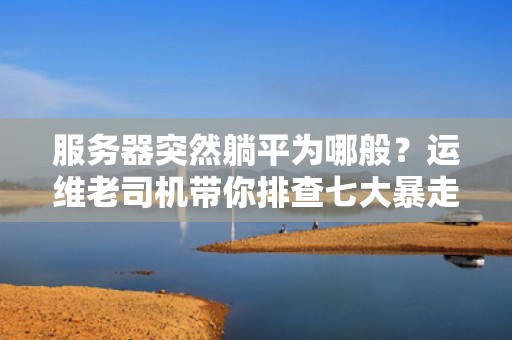 服务器突然躺平为哪般？运维老司机带你排查七大暴走元凶