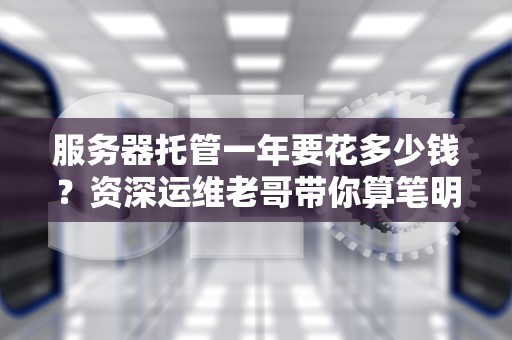 服务器托管一年要花多少钱？资深运维老哥带你算笔明白账