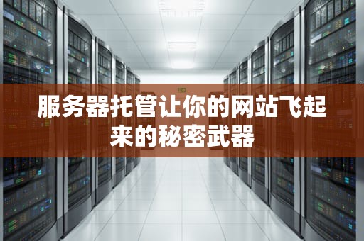 服务器托管让你的网站飞起来的秘密武器