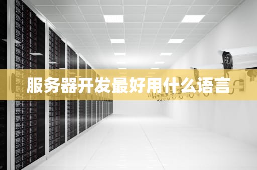 服务器开发最好用什么语言
