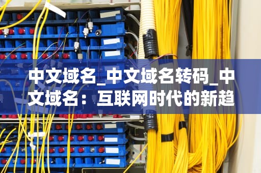 中文域名_中文域名转码_中文域名：互联网时代的新趋势