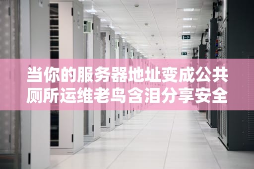 当你的服务器地址变成公共厕所运维老鸟含泪分享安全接入那些坑