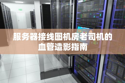 服务器接线图机房老司机的血管造影指南