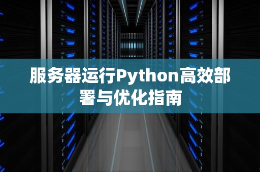 服务器运行Python高效部署与优化指南
