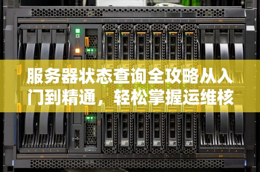 服务器状态查询全攻略从入门到精通，轻松掌握运维核心技能