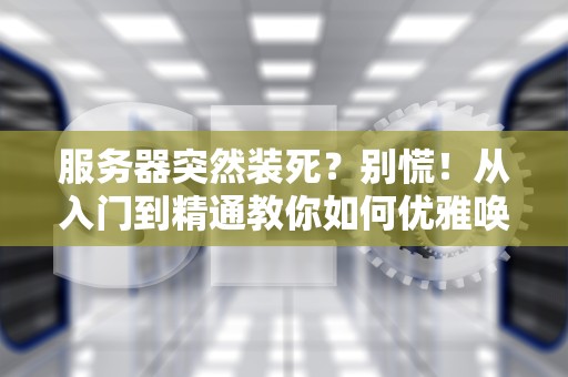 服务器突然装死？别慌！从入门到精通教你如何优雅唤醒它