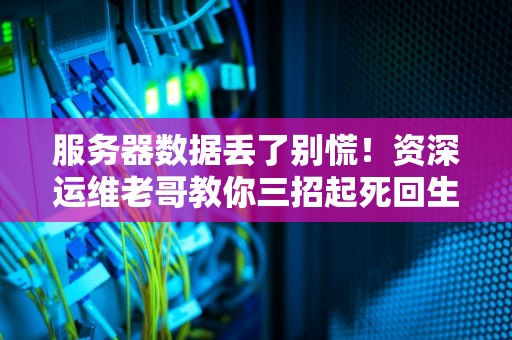 服务器数据丢了别慌！资深运维老哥教你三招起死回生术