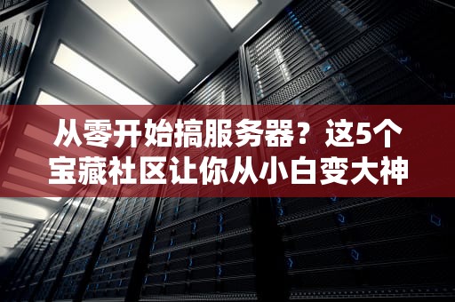 从零开始搞服务器？这5个宝藏社区让你从小白变大神！
