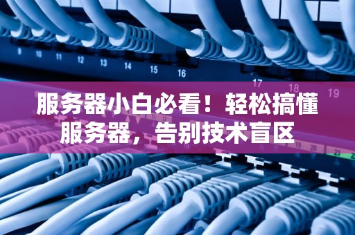 服务器小白必看！轻松搞懂服务器，告别技术盲区