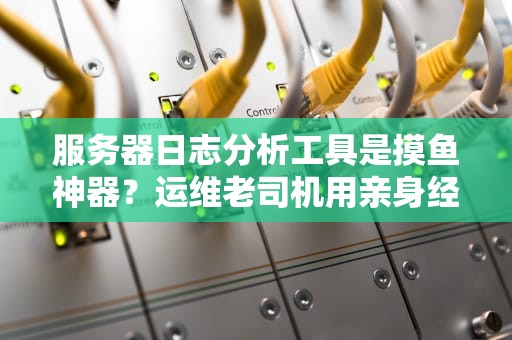 服务器日志分析工具是摸鱼神器？运维老司机用亲身经历告诉你真相