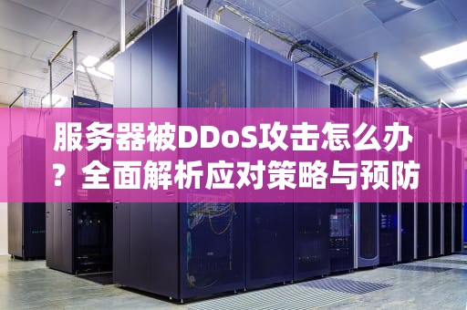 服务器被DDoS攻击怎么办？全面解析应对策略与预防措施