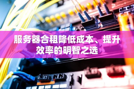 服务器合租降低成本、提升效率的明智之选