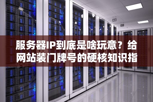 服务器IP到底是啥玩意？给网站装门牌号的硬核知识指南