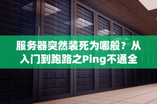 服务器突然装死为哪般？从入门到跑路之Ping不通全攻略