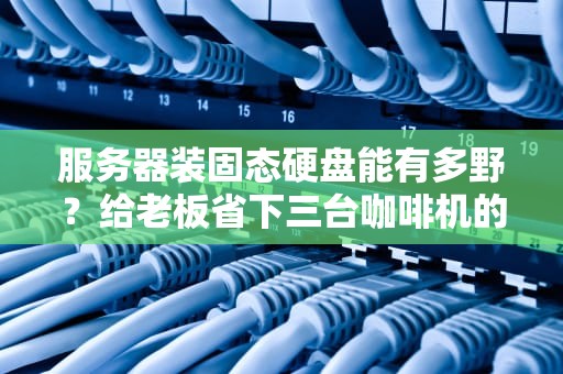 服务器装固态硬盘能有多野？给老板省下三台咖啡机的黑科技真相！