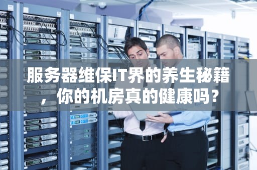 服务器维保IT界的养生秘籍，你的机房真的健康吗？