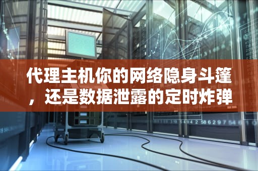 代理主机你的网络隐身斗篷，还是数据泄露的定时炸弹？