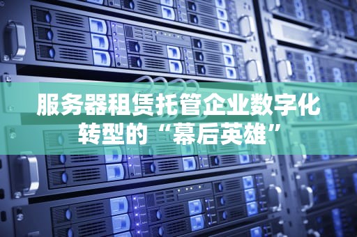 服务器租赁托管企业数字化转型的“幕后英雄”
