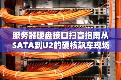 服务器硬盘接口扫盲指南从SATA到U2的硬核飙车现场